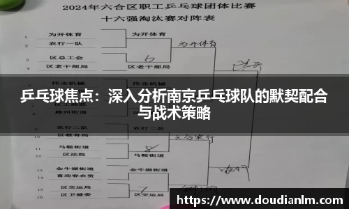 乒乓球焦点：深入分析南京乒乓球队的默契配合与战术策略